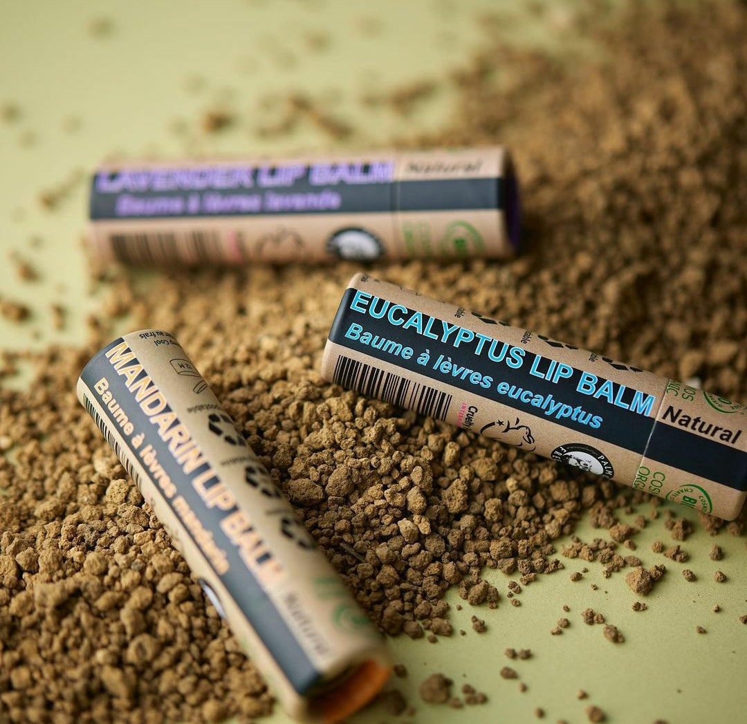 Geschenkset Lippenbalsam – 10 x 15 ml (auf Bestellung gefertigt)